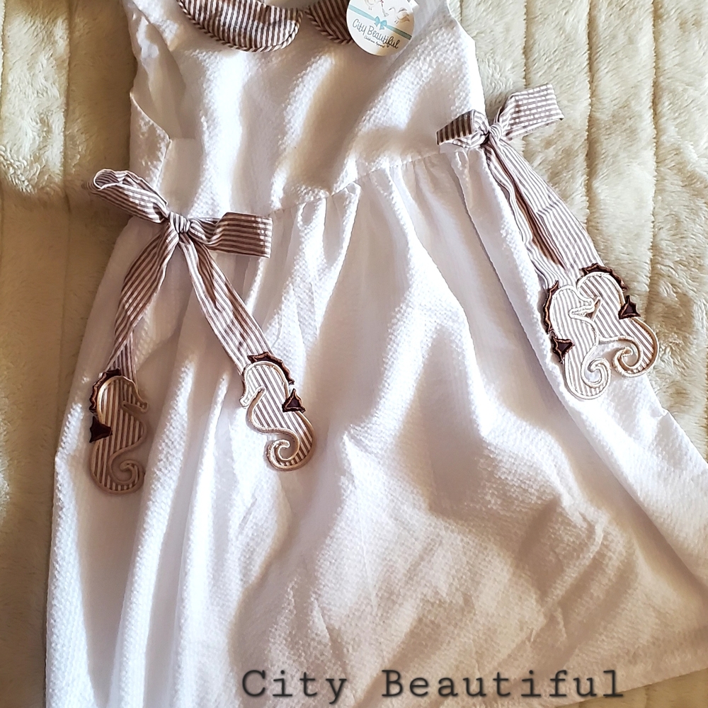 🤎 City Beautiful Seersucker Dress | Size 6T NWT 🐚✨